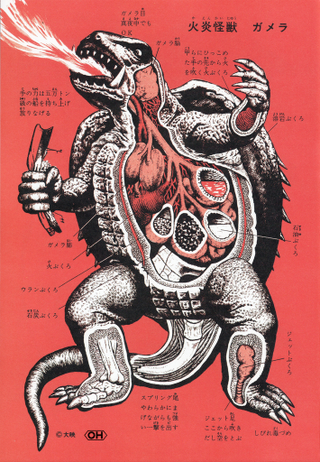 Illustration for article titled Cool drawings show the anatomy of Godzilla and all his friends and foes